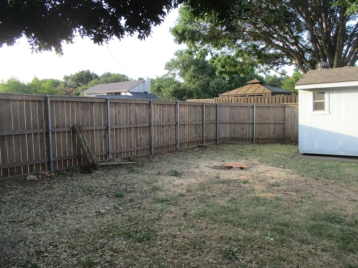 Cleared yard after professional tree removal in Hall